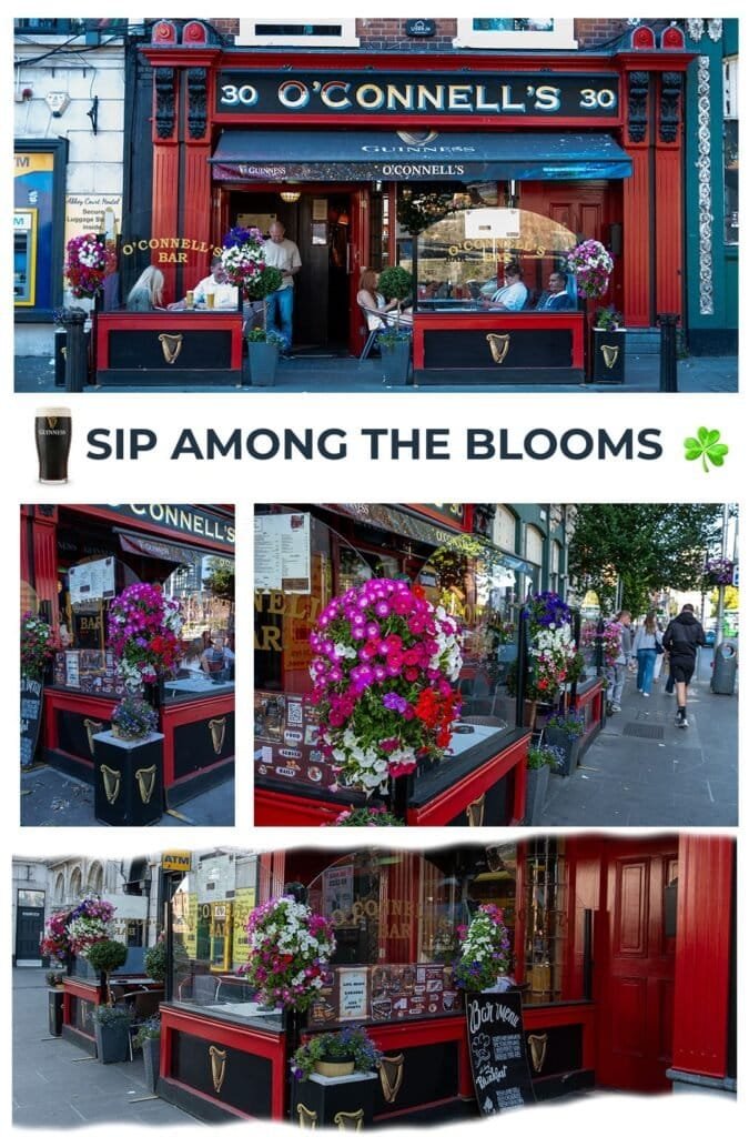 Exterior view of O'Connell's Bar with vibrant flower displays and outdoor seating.